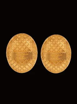 Signature Mesh Earrings-Balmain Online