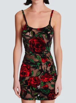 Burnout Velvet Dress With Rose Print-Balmain Store