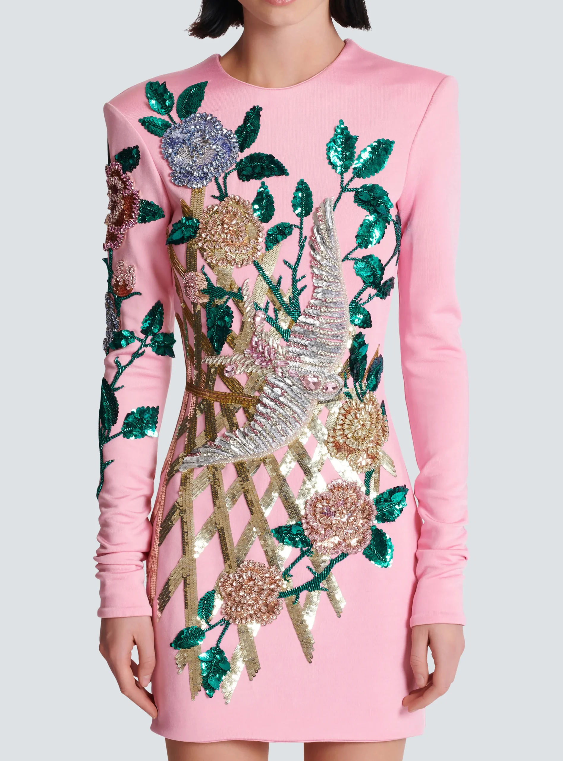 Embroidered Roses Dress-Balmain Fashion
