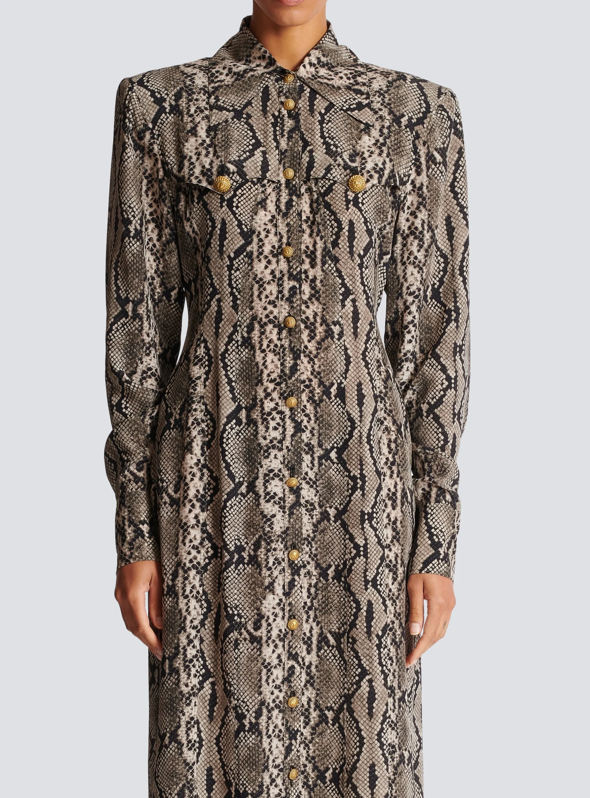 Snakeskin Silk Shirt Dress-Balmain Flash Sale